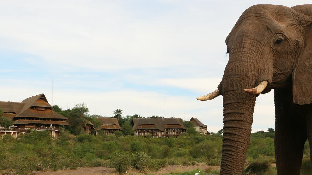 Victoria Falls Safari Suites Dış mekan fotoğraf